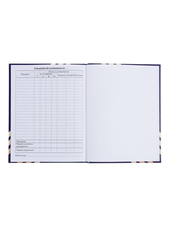 Дневник школьный для 1-11 классов, «Глобус и перо», твёрдая обложка 7БЦ, глянцевая ламинация, 40 листов