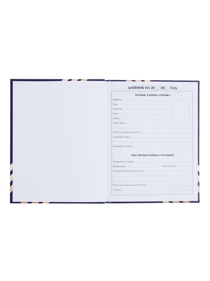 Дневник школьный для 1-11 классов, «Глобус и перо», твёрдая обложка 7БЦ, глянцевая ламинация, 40 листов