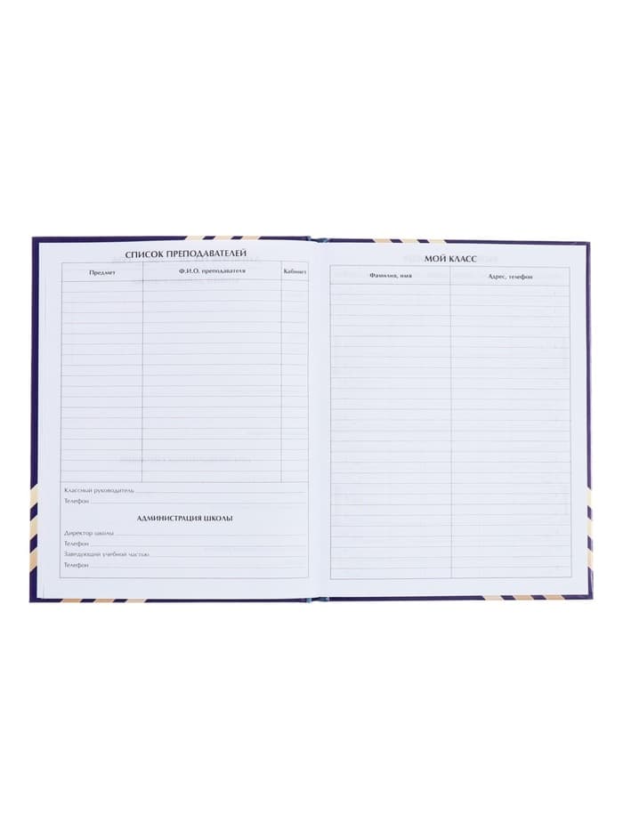 Дневник школьный для 1-11 классов, «Глобус и перо», твёрдая обложка 7БЦ, глянцевая ламинация, 40 листов