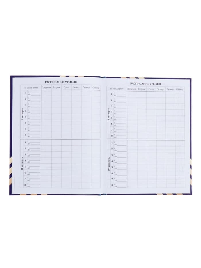 Дневник школьный для 1-11 классов, «Глобус и перо», твёрдая обложка 7БЦ, глянцевая ламинация, 40 листов