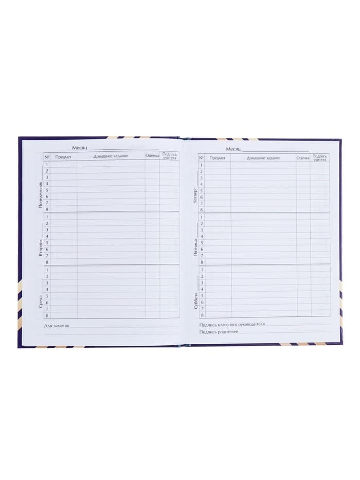 Дневник школьный для 1-11 классов, «Глобус и перо», твёрдая обложка 7БЦ, глянцевая ламинация, 40 листов