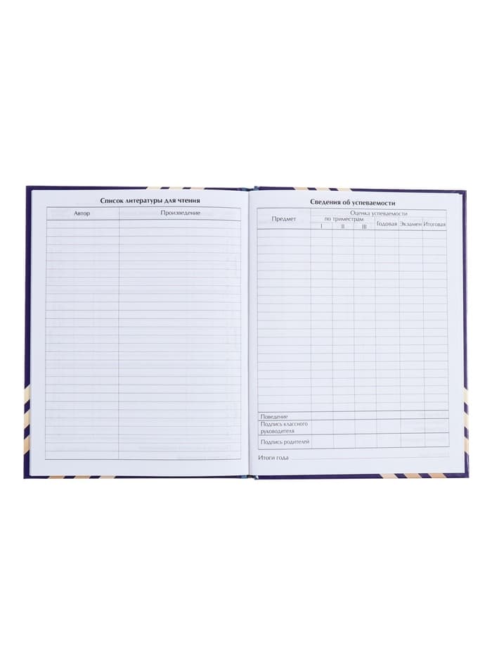 Дневник школьный для 1-11 классов, «Глобус и перо», твёрдая обложка 7БЦ, глянцевая ламинация, 40 листов