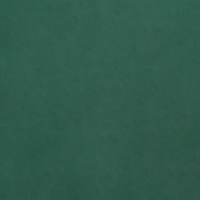 Бумага упаковочная крафт «Мокрый тропический лес», 0.68×10 ±5% м, 70 г