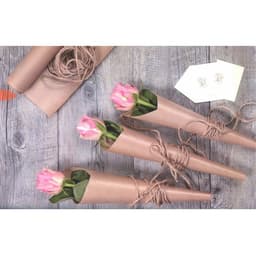 Бумага упаковочная крафт без печати, для обёртки и упаковки, 70 г/м², 0.70×10 м