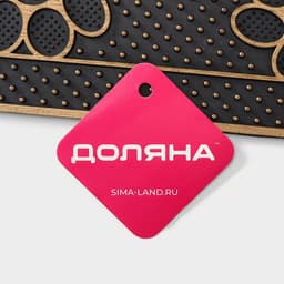 Коврик придверный Доляна «Лапка», 40×70 см, МИКС