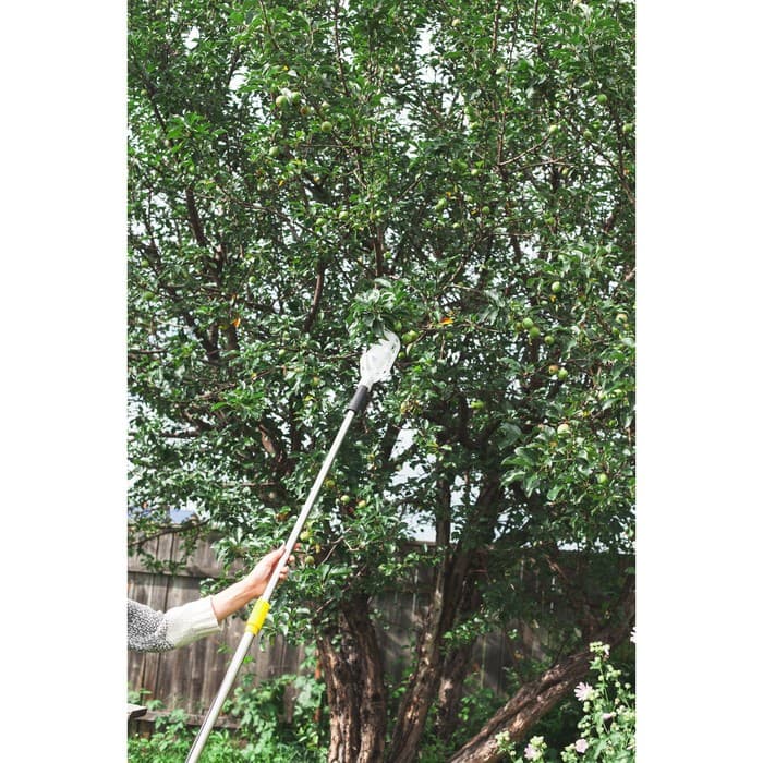 Плодосъёмник, с телескопическим черенком, 158-250 см, Greengo