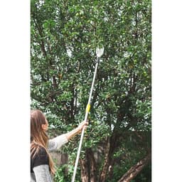 Плодосъёмник, с телескопическим черенком, 158-250 см, Greengo