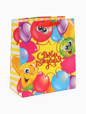 Пакет подарочный ламинированный, упаковка, «Весёлого дня рождения!», ML 23×27×11.5 см