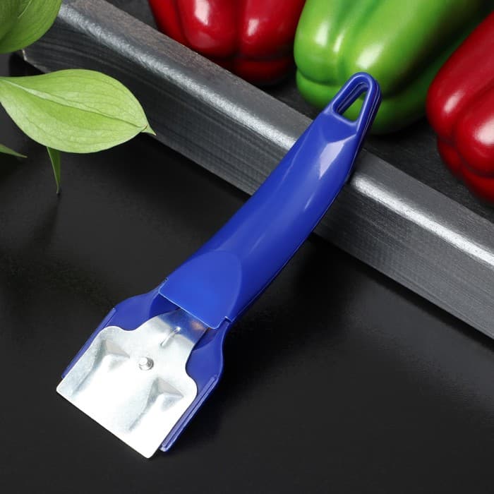 Скребок для стеклокерамики Доляна «Базис», 16 см, МИКС