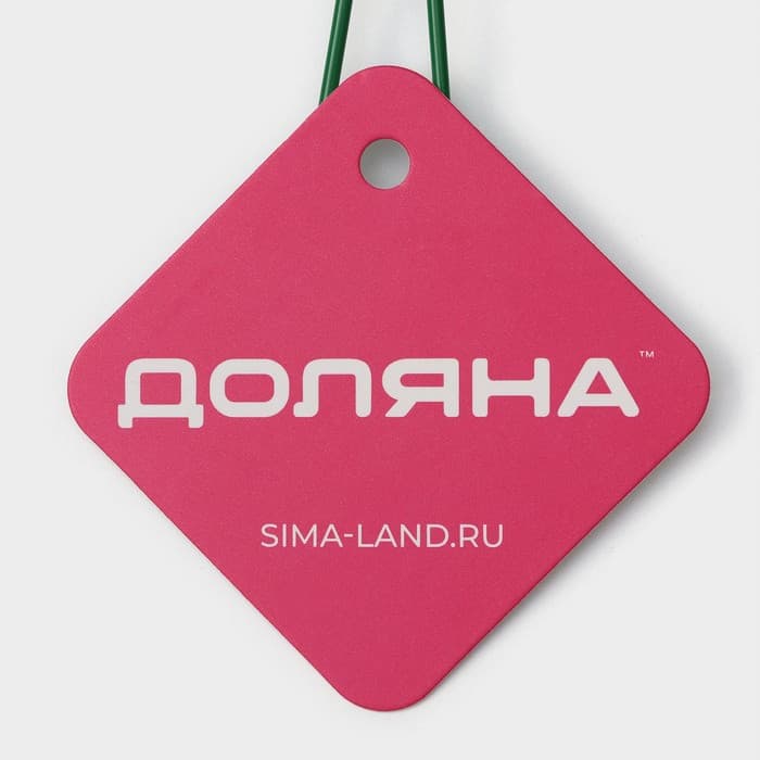 Набор сит Доляна, 3 шт., d=6 см, 8 см, 9 см