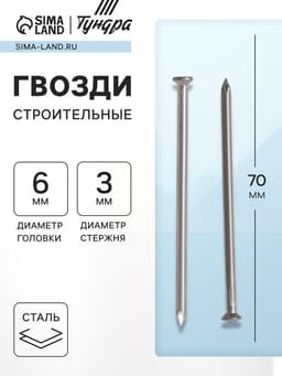 Гвозди ТУНДРА, строительные, ГОСТ 4028-63, без покрытия, 3×70 мм, 25 кг