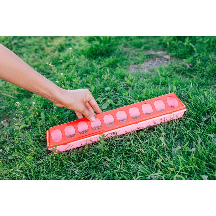 Кормушка - поилка для перепелов, 20 ячеек, лотковая, пластик, цвет МИКС