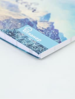 Планер с отрывными листами «Орел» 9.5×17.5 см, 50 л