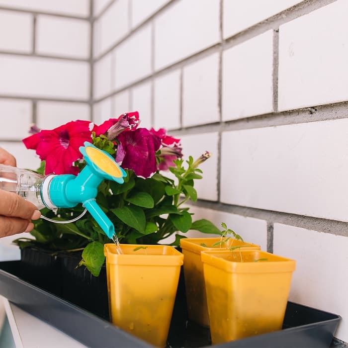 Насадка-рассеиватель на бутылку, цвет МИКС, Greengo