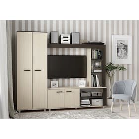 Гостиная «София-2», 1900×2200×370 мм, цвет венге/дуб молочный