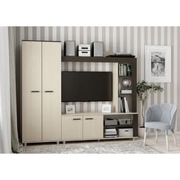 Гостиная «София-2», 1900×2200×370 мм, цвет венге/дуб молочный