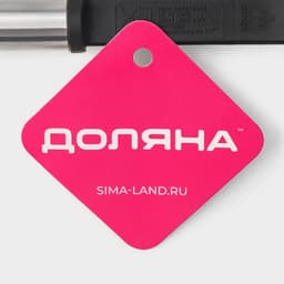 Половник Доляна «Антрацитовый блеск», 31 см