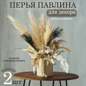 Перья павлина для декора 2 шт., 10×30 см