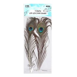 Набор перьев павлина для декора 2 шт.