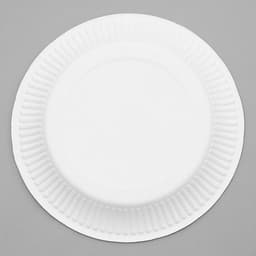 Тарелка одноразовая бумажная «Сегодня можно всё»