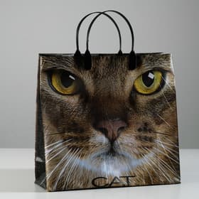 Пакет «Кэт», мягкий пластик, 30×30 см, 150 мкм