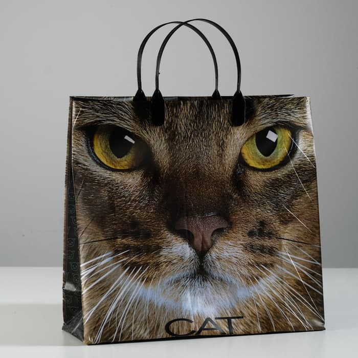 Пакет «Кэт», мягкий пластик, 30×30 см, 150 мкм