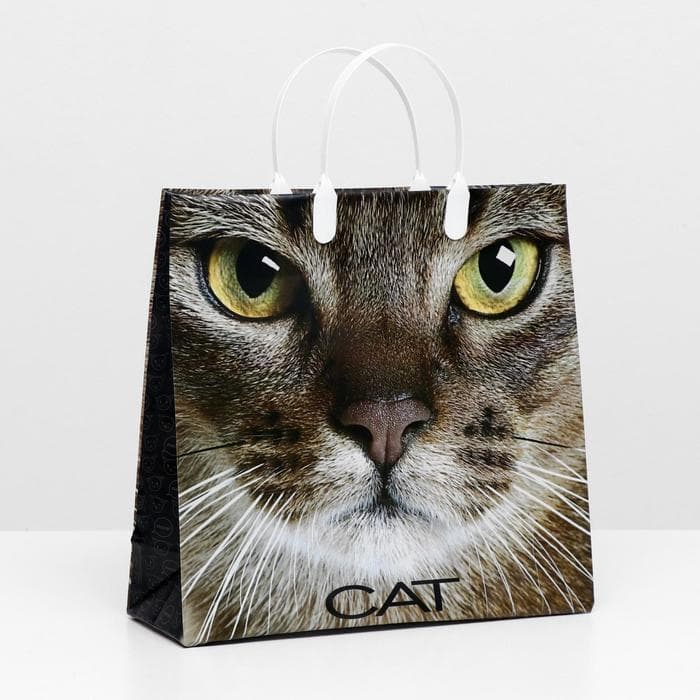 Пакет «Кэт», мягкий пластик, 30×30 см, 150 мкм