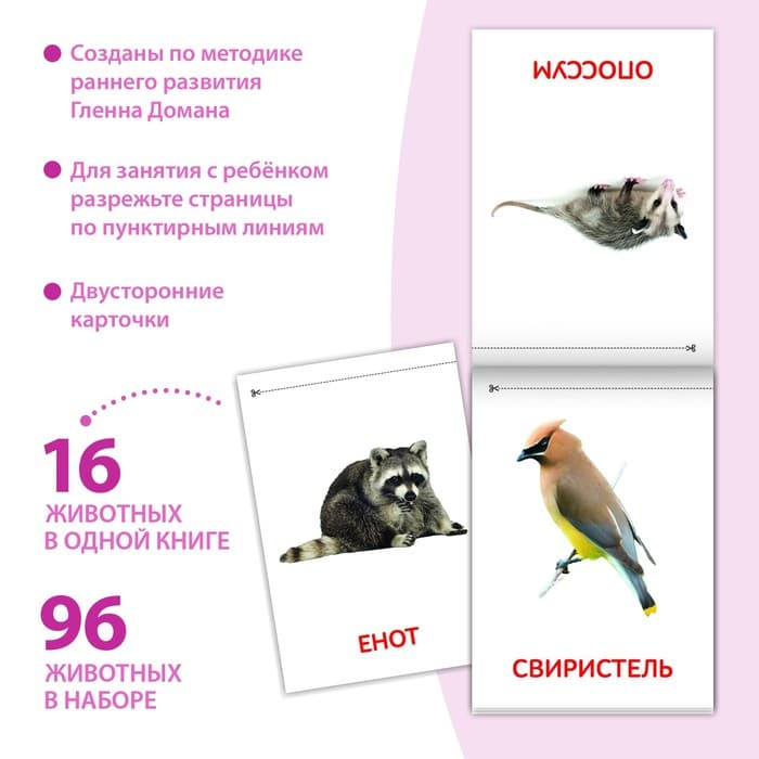 Книги «Карточки Домана. Животные материков», набор 6 шт. по 20 стр.