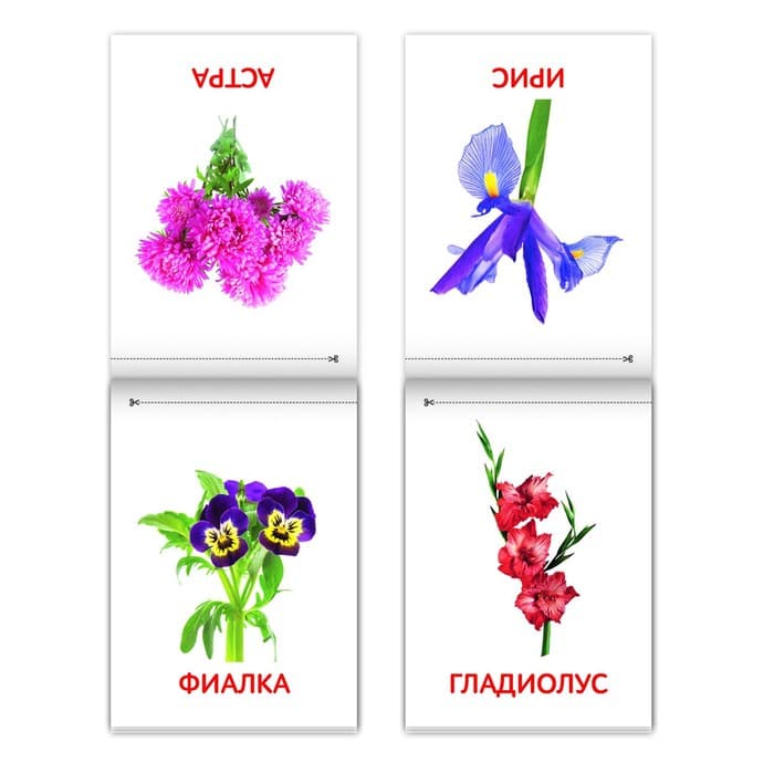 Книги «Карточки Домана. Окружающий мир», набор, 8 шт. по 20 стр.