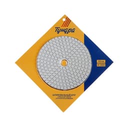 Алмазный гибкий шлифовальный круг ТУНДРА «Черепашка», для мокрой шлифовки, 100 мм, № 3000