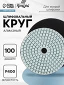 Алмазный гибкий шлифовальный круг ТУНДРА «Черепашка», для мокрой шлифовки, 100 мм, № 400