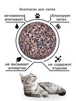 Наполнитель минеральный впитывающий «Пижон» для короткошерстных кошек, 10 л