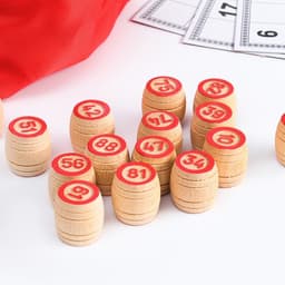 Русское лото «На каждый день», 24 карточки, 90 бочонков из дерева, 20 фишек