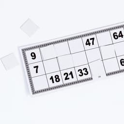 Русское лото «На каждый день», 24 карточки, 90 бочонков из дерева, 20 фишек