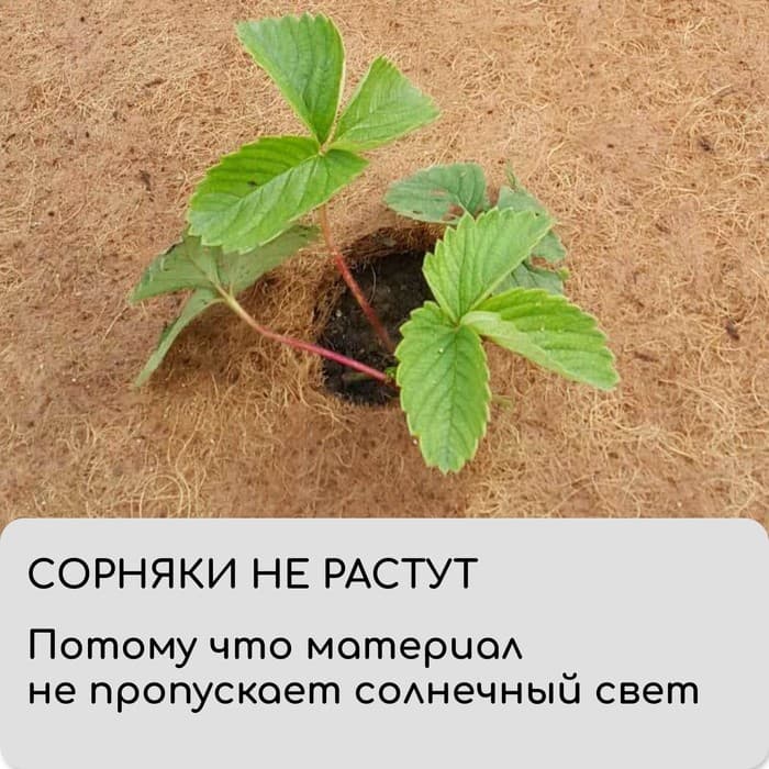 Мульча кокосовая в рулоне, 3×1 м, Greengo