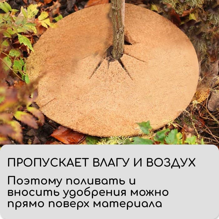 Круг приствольный, d=0.6 м, из кокосового полотна, набор 5 шт., «Мульчаграм»