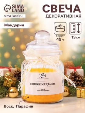 Ароматическая свеча в банке «Зимний мандарин» 180 г, время горения 45 ч
