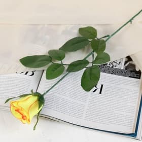 Цветы искусственные «Роза классик лайт», h=53 см, d=5 см, МИКС