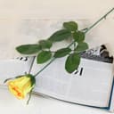 Цветы искусственные «Роза классик лайт», h=53 см, d=5 см, МИКС