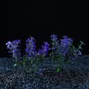 Набор растений для аквариума и террариума - 2 шт., 10 см