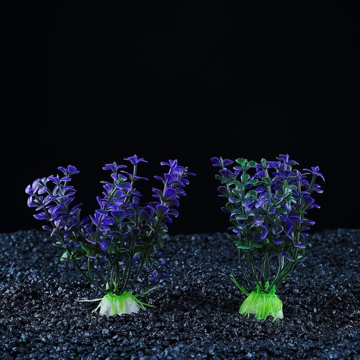 Набор растений для аквариума и террариума - 2 шт., 10 см