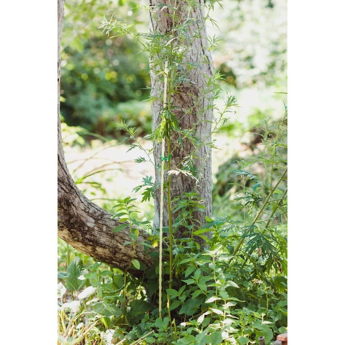 Колышек для подвязки растений, h=100 см, d=8 мм, стеклопластик, Greengo