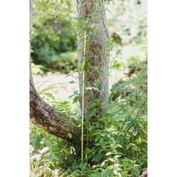 Колышек для подвязки растений, h=100 см, d=8 мм, стеклопластик, Greengo