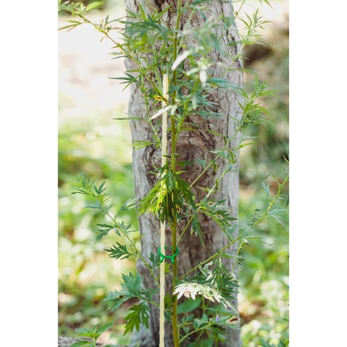 Колышек для подвязки растений, h=100 см, d=8 мм, стеклопластик, Greengo