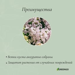Кустодержатель для цветов, d=20 см, h=70 см, ножка d=0.3 см, металл, зелёный, Greengo