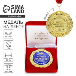 Медаль в бархатной коробке «Золотой директор», d=7 см