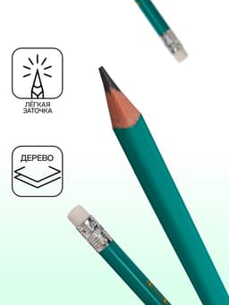 Карандаш чернографитный Calligrata, НВ, с ластиком, трёхгранный, пластиковый, зелёный корпус