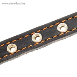 Ошейник кожаный на синтепоне, безразмерный, 37×1.5 см, ОШ 21-31 см, синий
