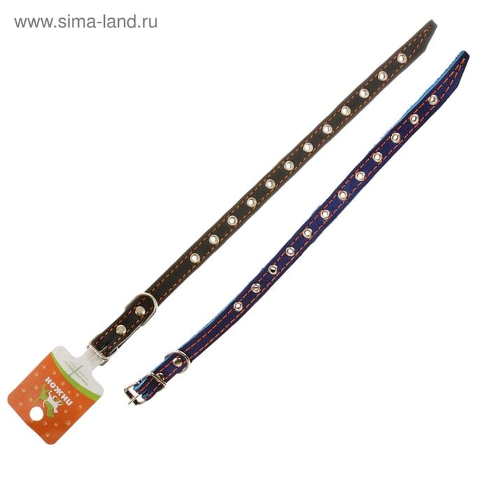 Ошейник кожаный на синтепоне, безразмерный, 37×1.5 см, ОШ 21-31 см, синий