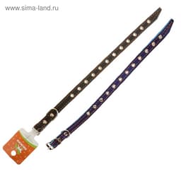 Ошейник кожаный на синтепоне, безразмерный, 37×1.5 см, ОШ 21-31 см, синий